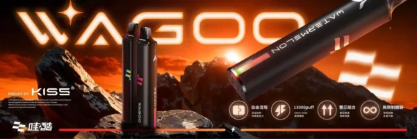 KIS5凱斯哇酷拋棄式6500口拋棄式